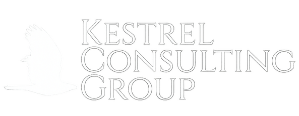 Business Advisory Services